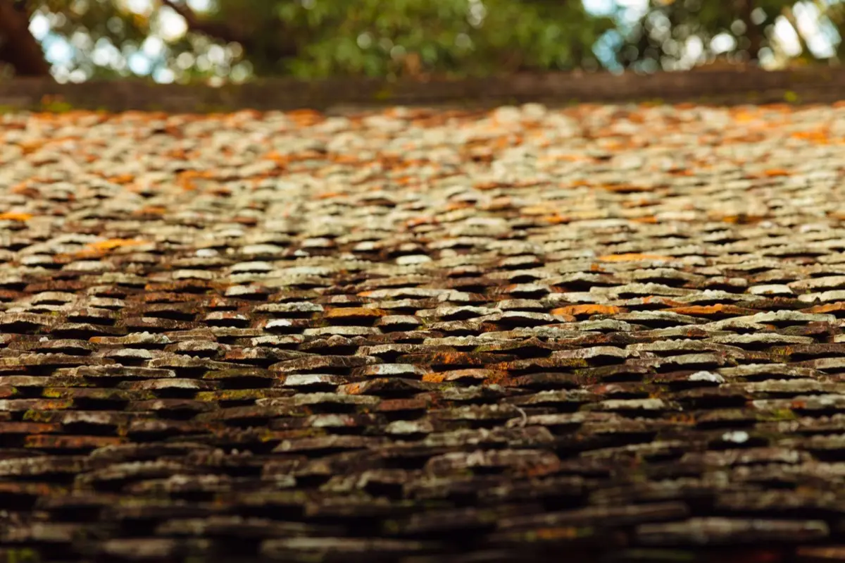 Aging shingle roof with moss growth and granule loss in Canton, OH